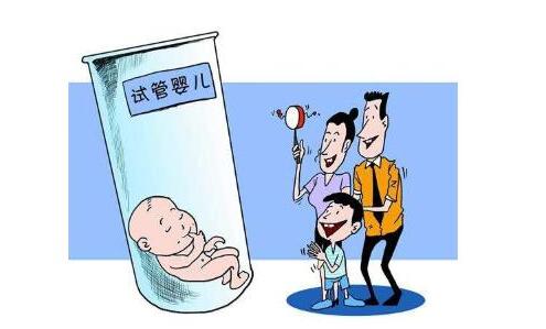 供卵试管代生